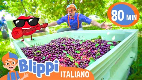 blippi in italiano|Blippi visita una fattoria di ciliegie .